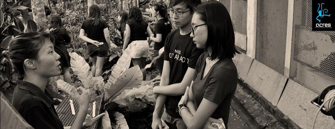 Volunteering at ACRES: Giving Back One Step at a Time Volunteering at ACRES: Giving Back One Step at a Time