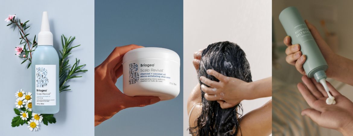 Shampoos For Dry Scalps in Singapore Haircare For Dry Scalps in Singapore