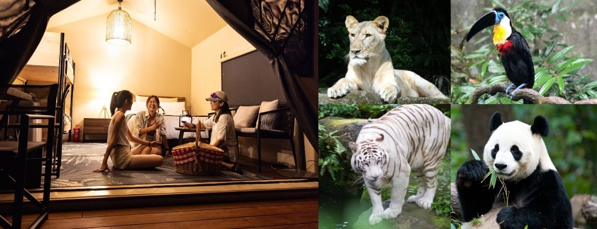 Colugo Camp Review: All-Inclusive Family Stay 