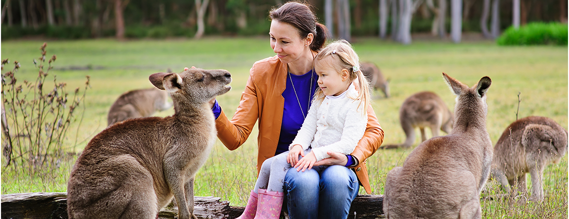 5 Tips to Book a Family Trip to Fremantle and Swan Valley in Western Australia - Banner