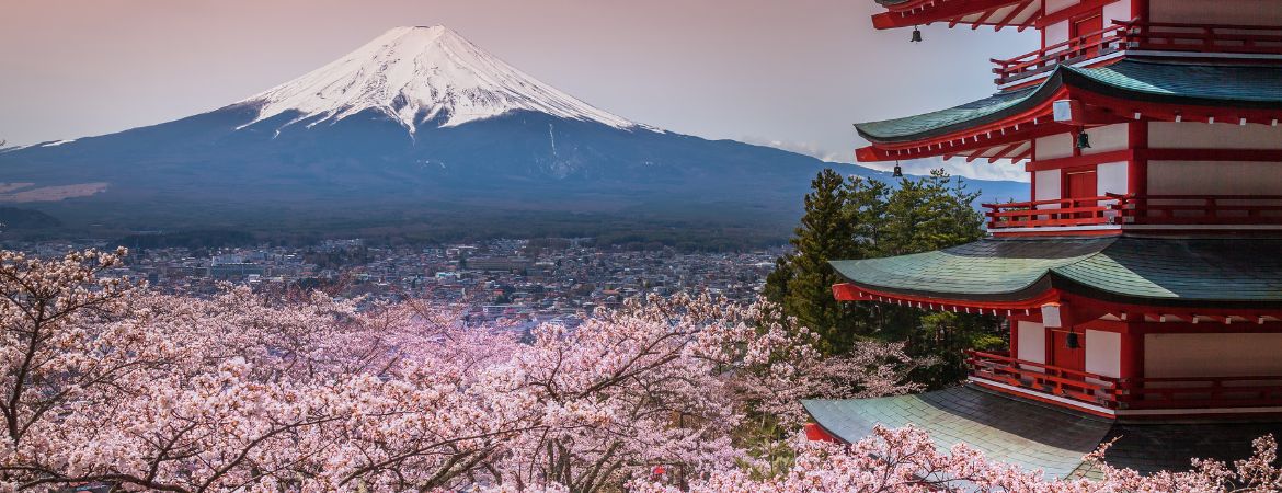 cherry blossoms 2023 japan