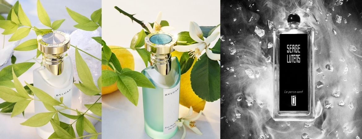 Spring Scents: Fragrance Brings Nostalgic Notes and Fresh Vibes This Season New Fragrance Launches Worthy of a Spritz