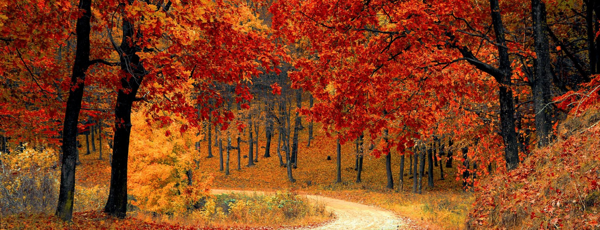 Your October 2021 Tarot Card Reading Based On Your Zodiac Sign by Tarot in Singapore Your October 2021 Tarot Card Reading Based On Your Zodiac Sign by Tarot in Singapore