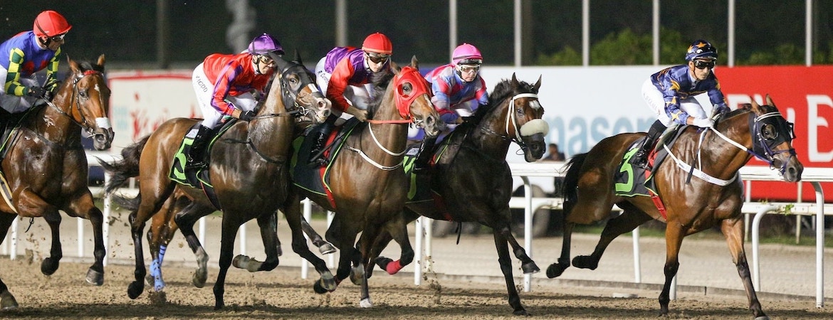 Meet Jayven See: Horse Racing