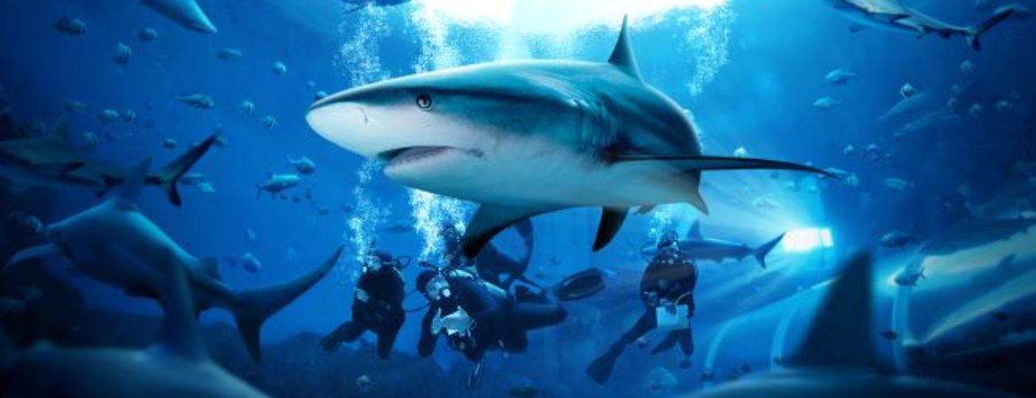 Unleash the Fun: 20 Exciting Things to Do in Singapore with Kids Things to Do in Singapore with Kids