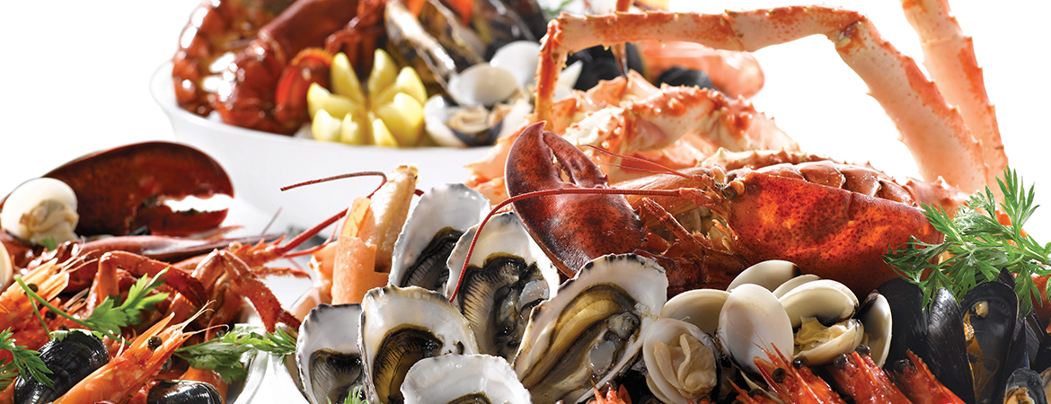 Singapore National Day: Where to Dine this Public Holiday Singapore National Day: Where to Dine this Public Holiday - Banner