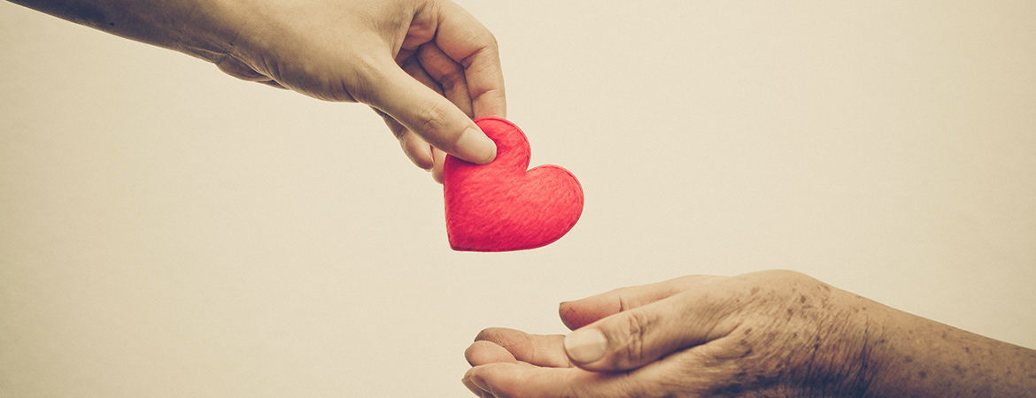 Volunteer in Singapore | Expat Giving