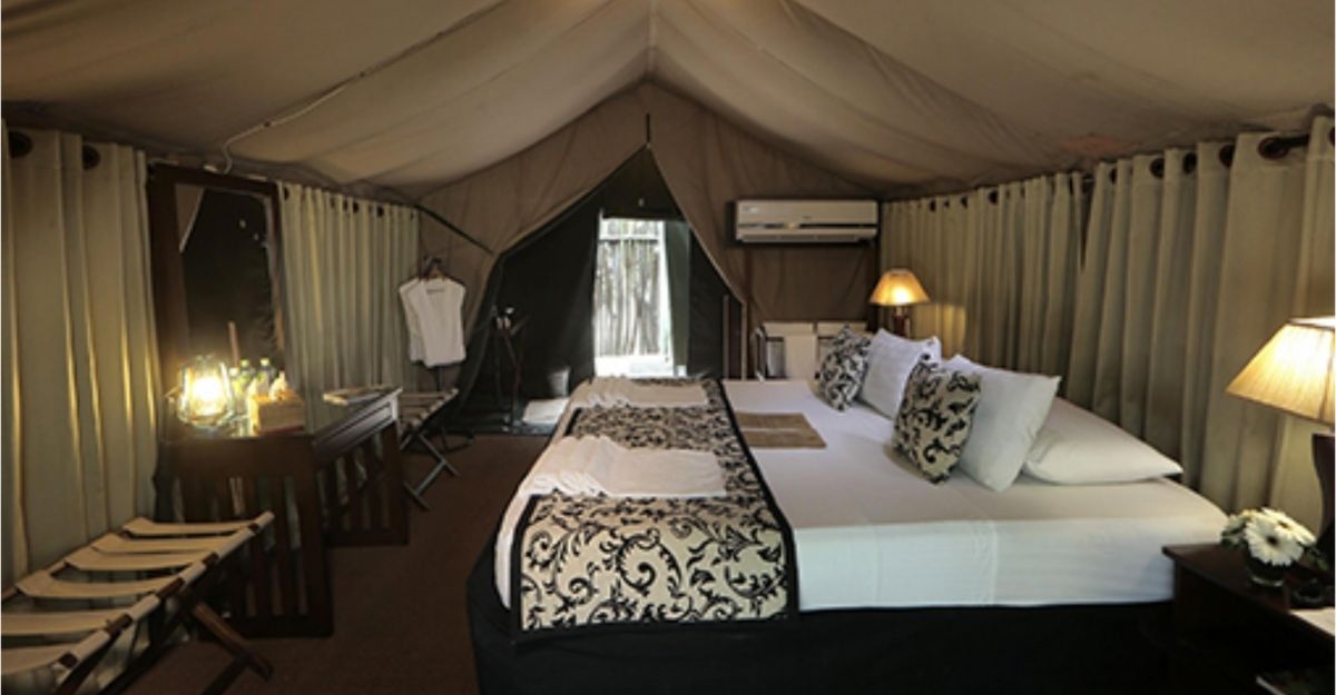 Glamp tent