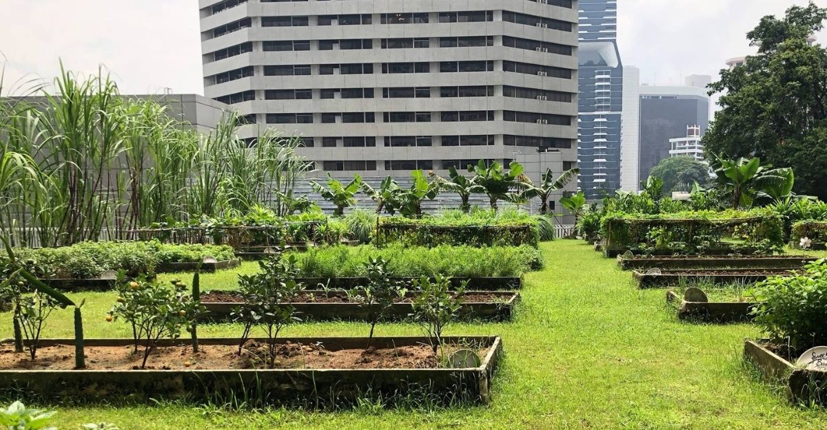 Executive Sous Chef Martin Satow from Grand Hyatt Singapore on Sustainable Dining