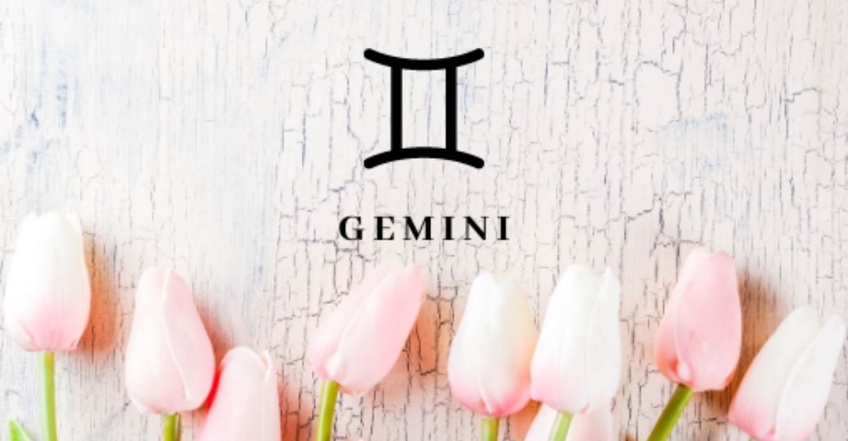 Gemini