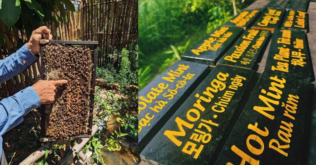 Attractions near La Festa Phu Quoc