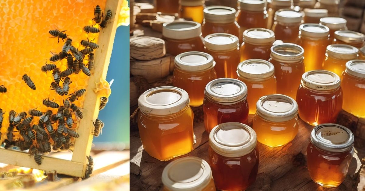 Bee Amazed Garden – Bee Farm Tours for Families
