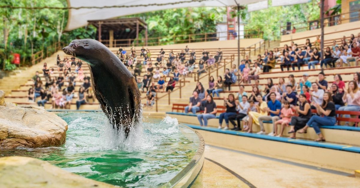 behind the scene glampinng singapore zoo