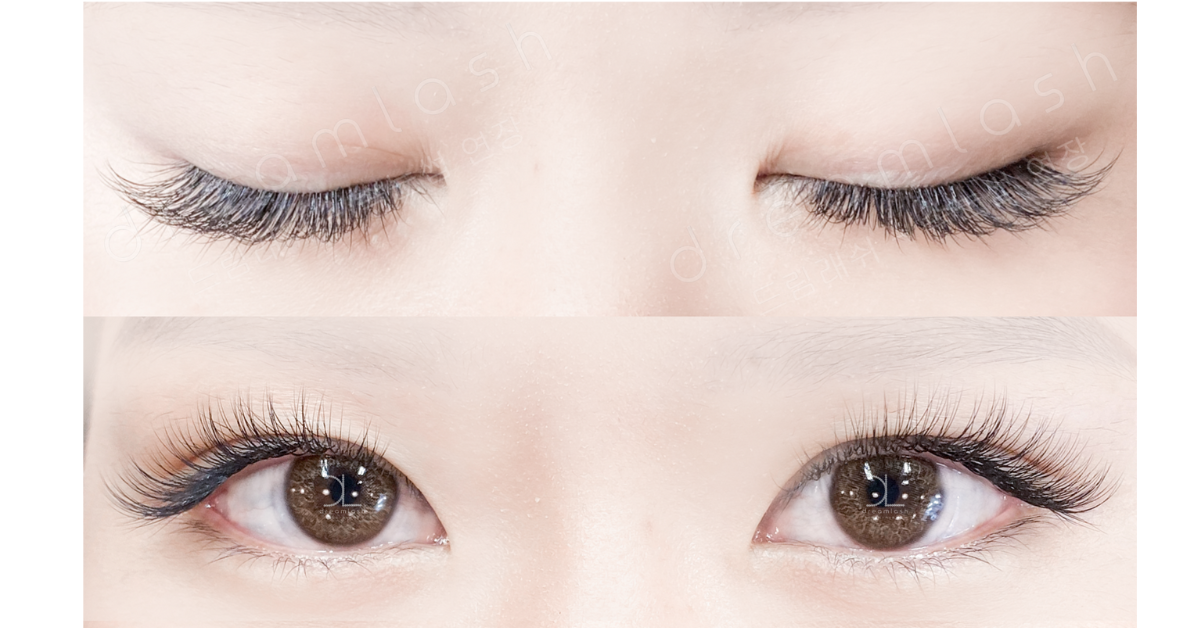 dreamlash korea eyelash extensions