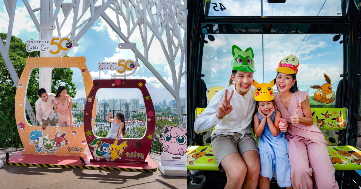 Cable Car Ride - Embark On A Pokemon Themed Adventure