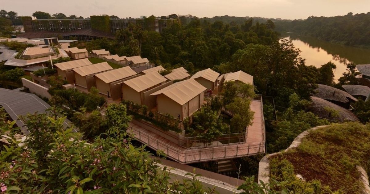 Colugo Camp – Mandai Wildlife Reserve’s New Family Glamping Ground