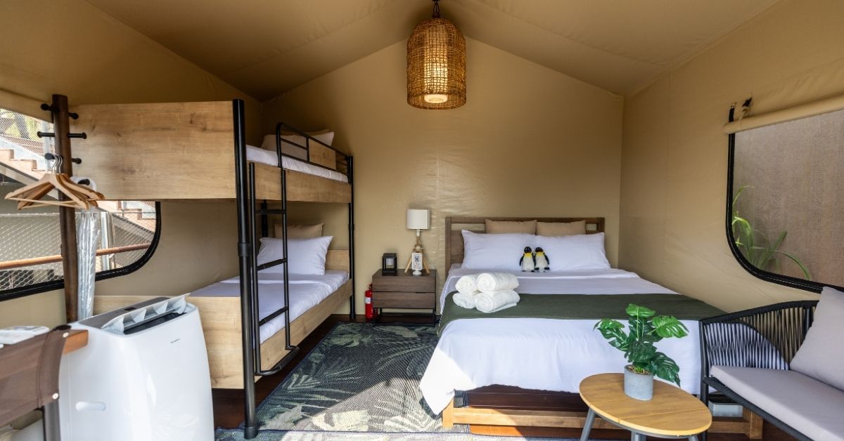 Colugo Camp complete with a queen and bunk beds, portable AC. Credit Mandai Wildlife Group