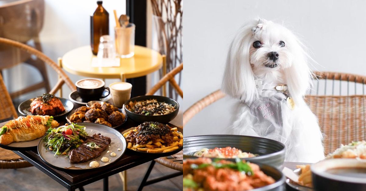 Daizu Café - Pet-Friendly Café Serving Japanese-Western Fusion Dishes