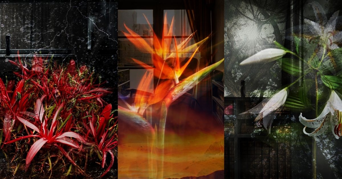 Design, Scent, and the Future of Regenerative Skincare