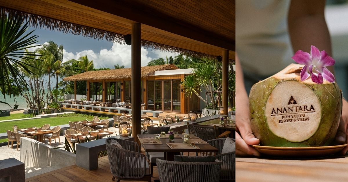 Dining Across Thai, Japanese and International Cuisine