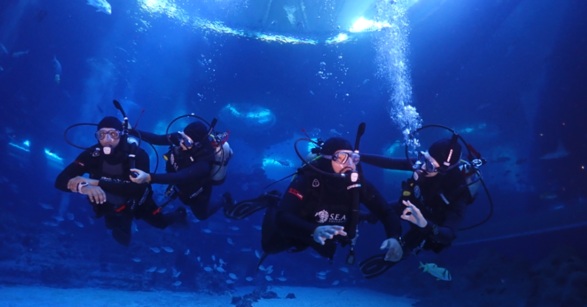 Discover Scuba Diving - A Beginner’s Guide to Diving