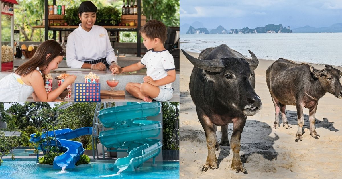 family friendly resort phuket thailand