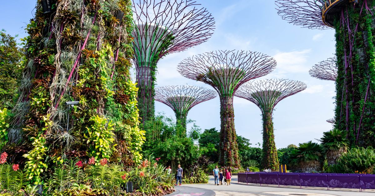 Friends of the Gardens Membership - Gardens by the Bay