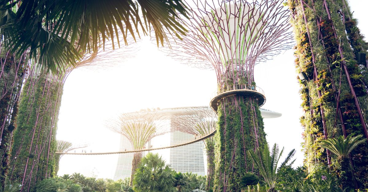 Gardens by the Bay: Supertree Grove and Cloud Forest