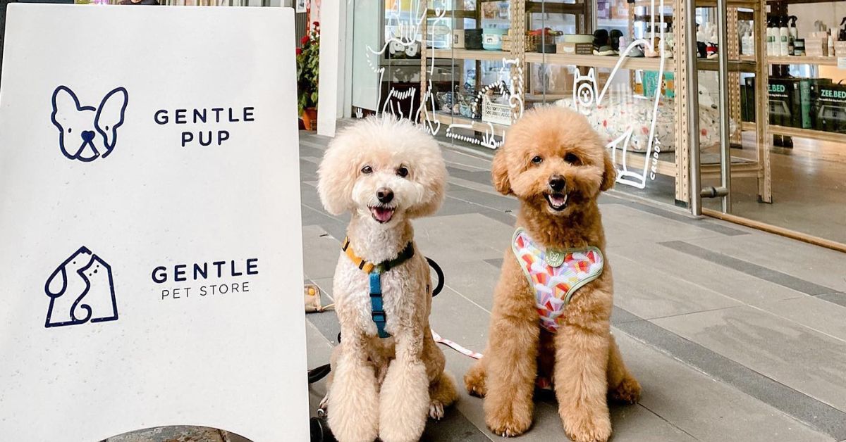 Gentle Pet Store - Fashionable Outfits For Your Pets