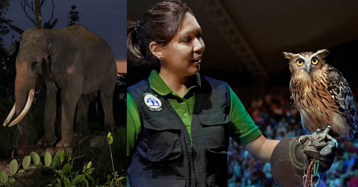 Get access to the night safari, exclusive tram and priority seating at Night Safari. Photo credit: Mandai