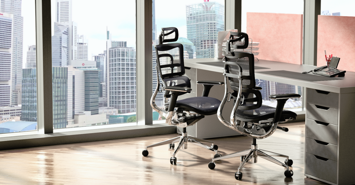 Giveaway: Ergomeister FAEZ8ERG Ergonomic Office Chair, Approved by Orthopaedics and Chiropractors Worldwide