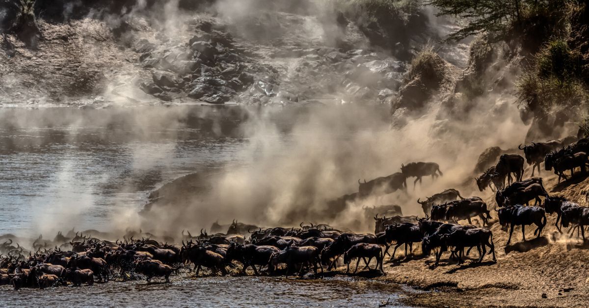 Great Migration, Tanzania
