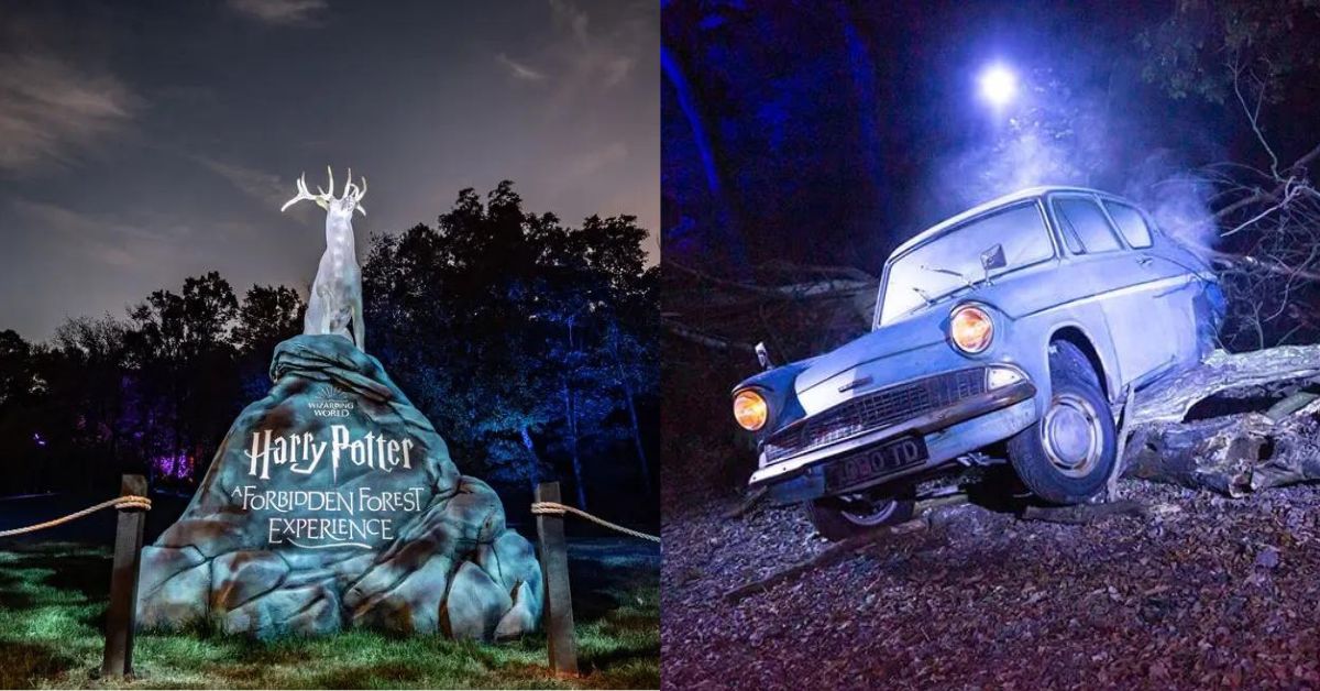 Harry Potter: A Forbidden Forest Experience - Immersive Magical Woodland Trail 
