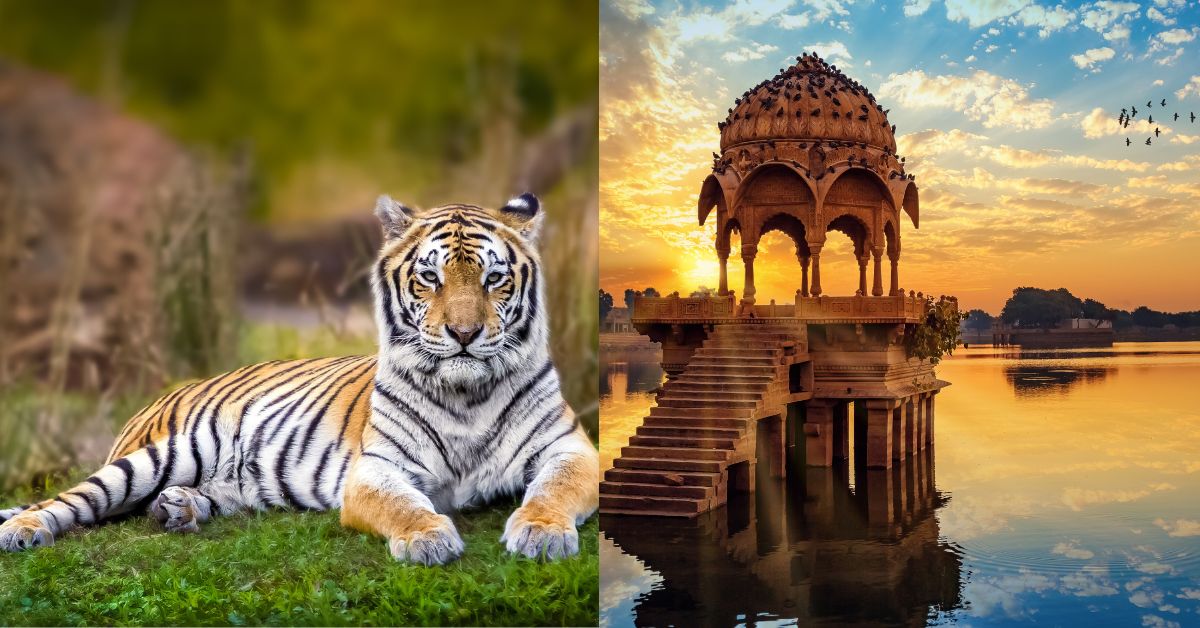 January - Tiger Sightseeing and Luxury Tented Camps in India