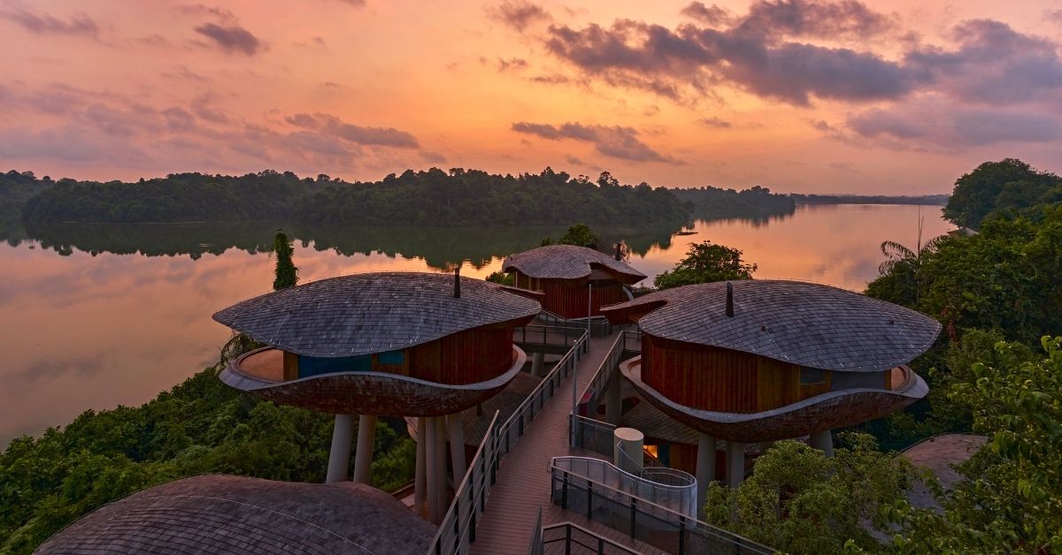 Mandai Rainforest Resort by Banyan Tree – A Wild Family Staycation in Singapore