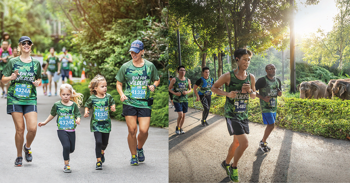 Mandai Wild Life Run - Singapore’s Signature Run With The Family