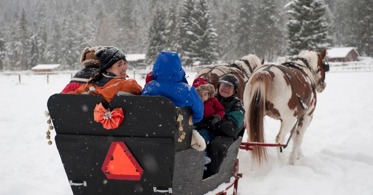 Northern Xinjiang Mu Xue Winter Tour in China - Fairy Tale Winter Holiday Experience with Horse-drawn Sleigh 