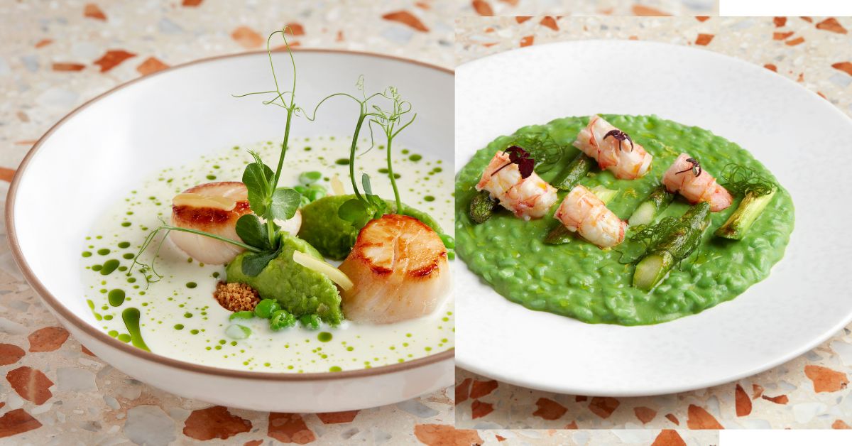 OSTERIA BBR by Alain Ducasse - New Spring Menu