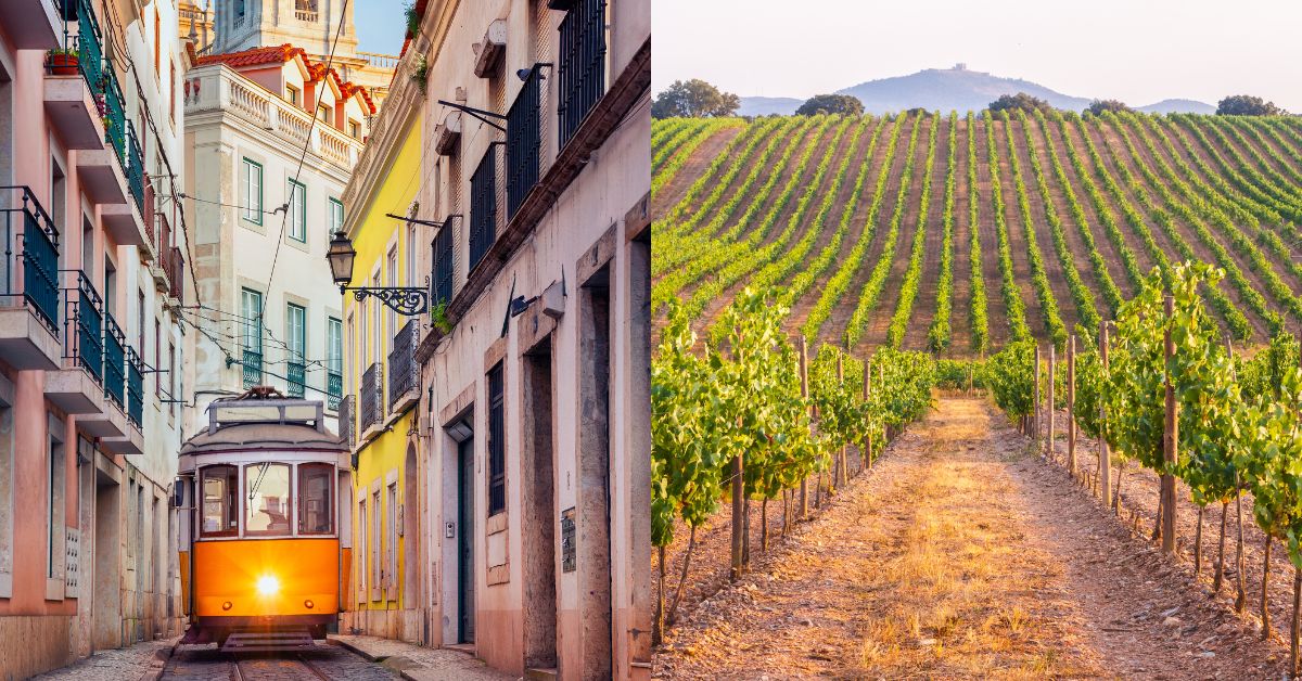 October - Explore Wine Harvesting in Portugal 