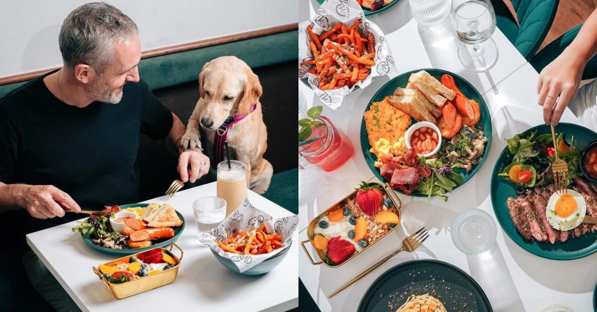 Oh My Dog! Café & Bar - Pet-Friendly Café & Bar Serving Fusion Food