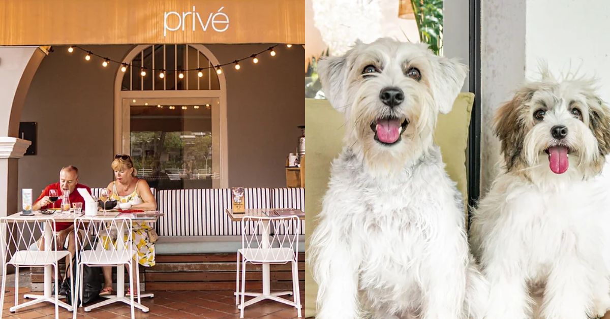 Privé - Pet-Friendly Restaurant For Families At Robertson Quay