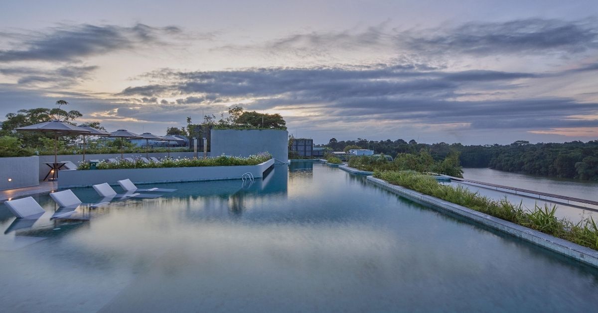 Rooftop Views & Poolside Sips at Mandai Rainforest Resort by Banyan Tree