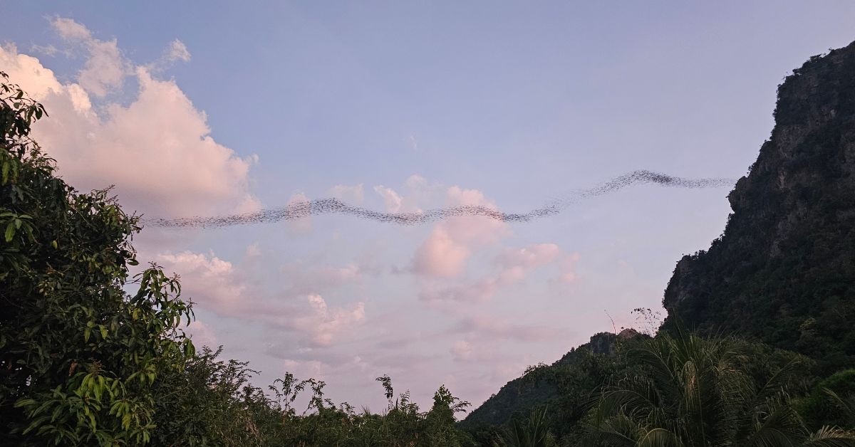 Nayang Bat Cave hua hin