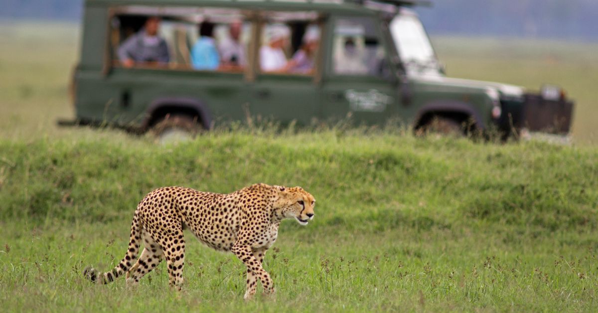 Safari Adventure holiday in Kenya 
