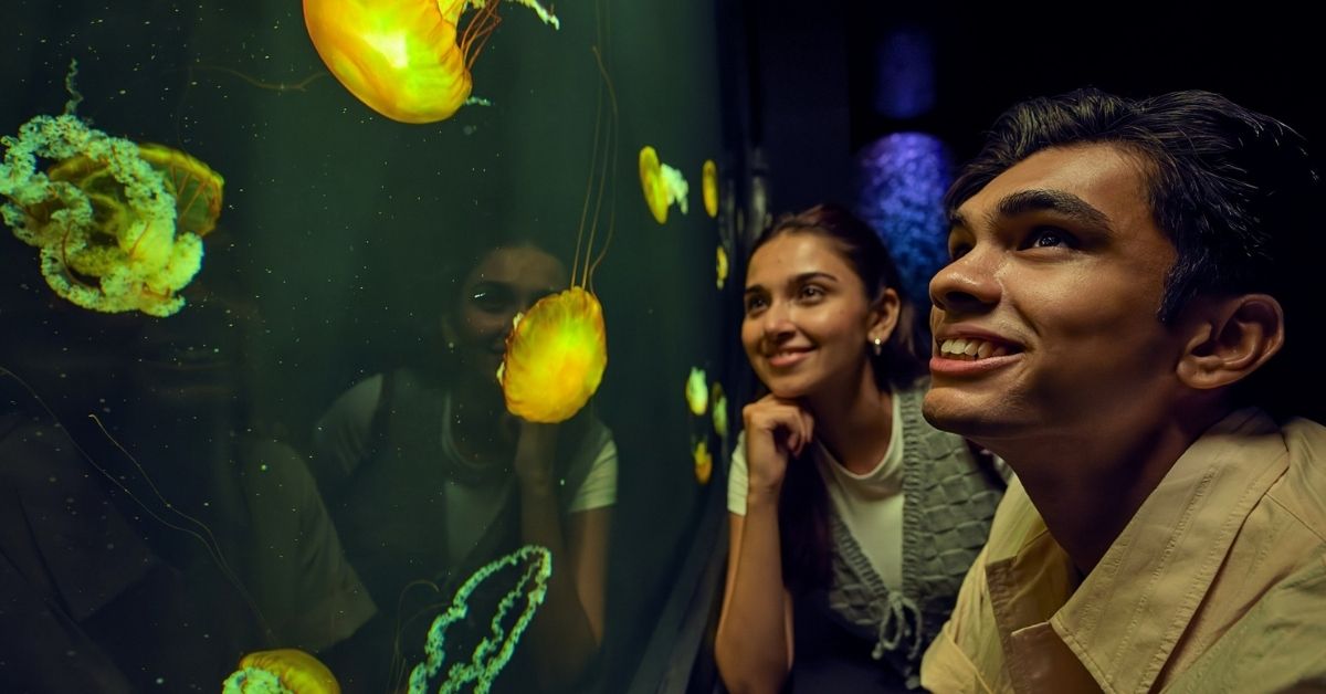 Singapore Oceanarium – Discover Marine Life and Conservation With The Family