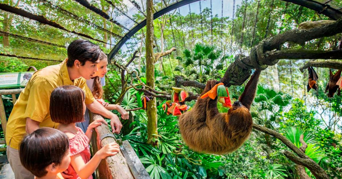 Singapore Zoo - Kids Birthday Party Packages With Animal Buddies
