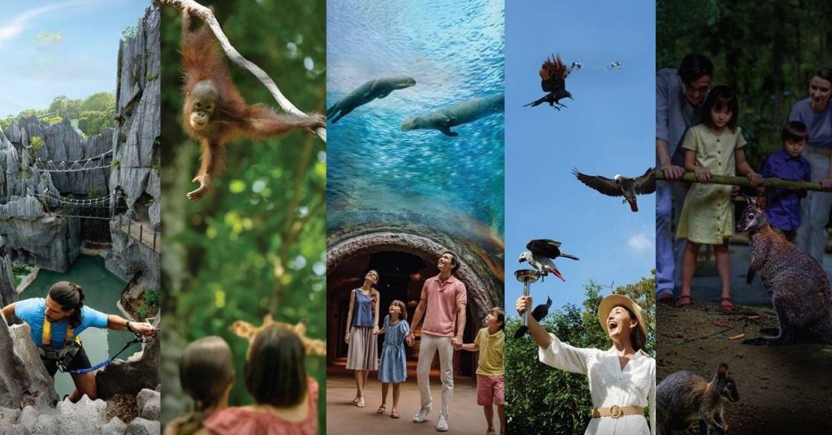 Mandai Wildlife Reserve - Singaproe Zoo