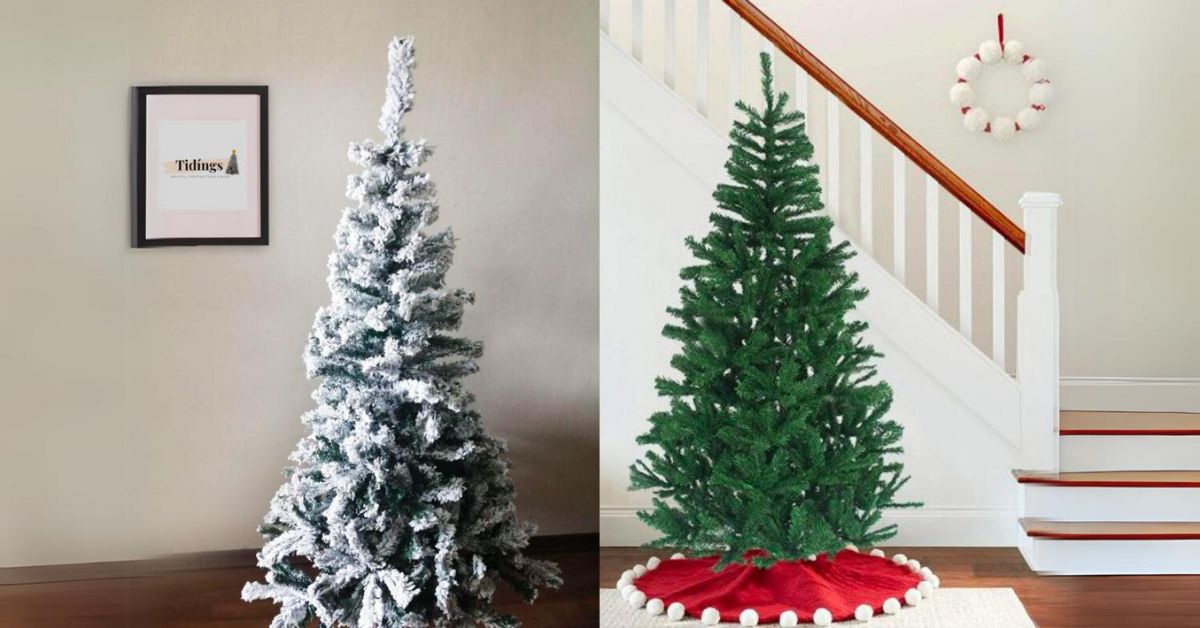 Tidings Christmas Trees - Premium Live and Artificial Christmas Trees