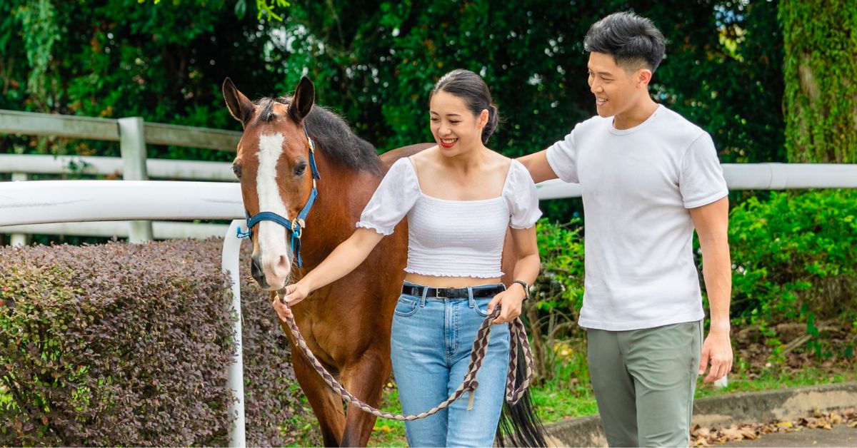 Valentine’s Day Offerings at Singapore Turf Club Riding Centre