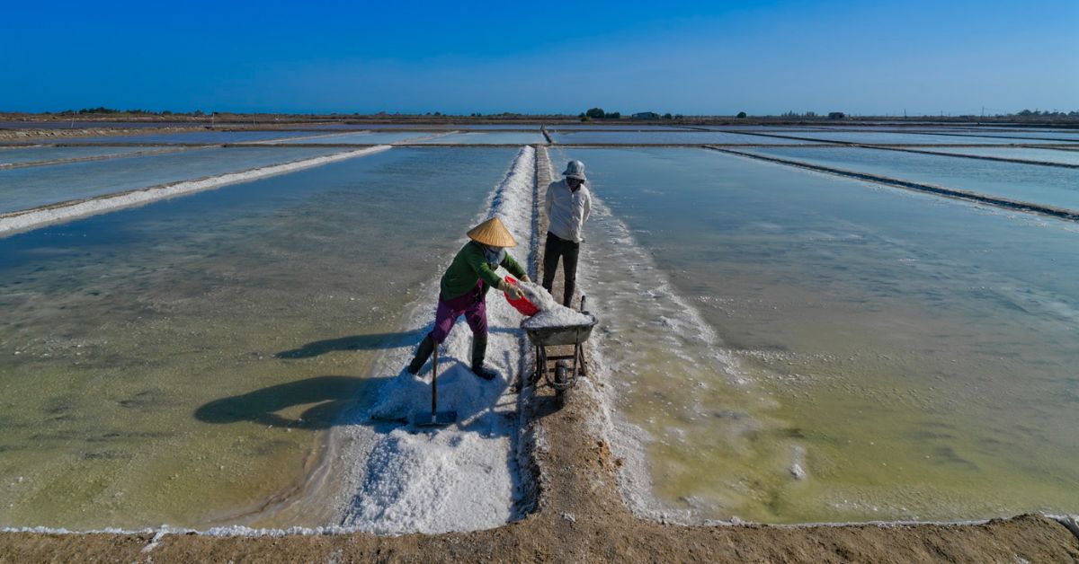  The Local Salt Fields vietnam